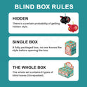 Blind box rules with illustrations and text on a teal background
