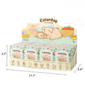 Display box of 'Caturday' toys featuring cartoon pigs with dimensions indicated.